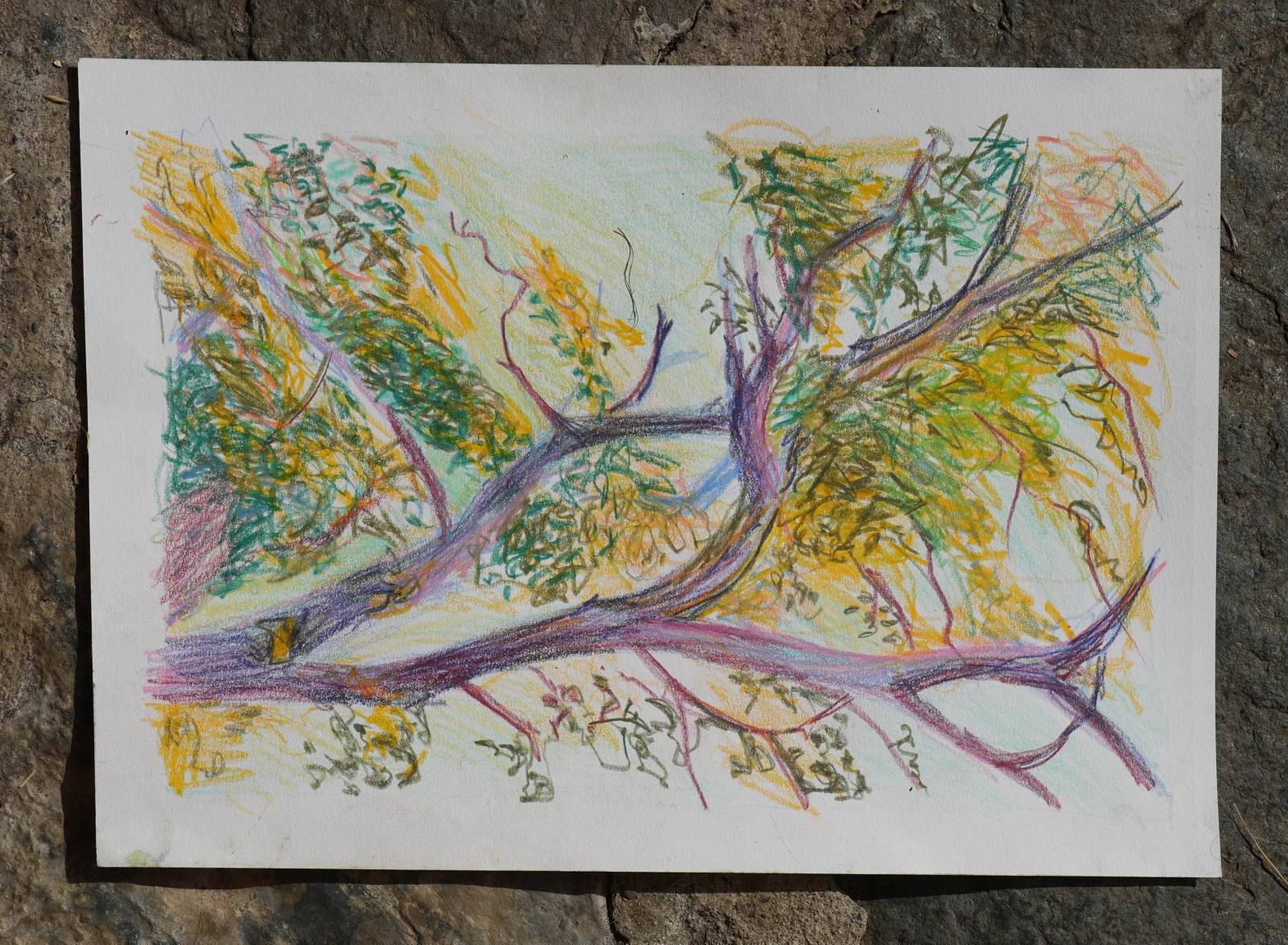 Sans titre n° 5, gouache