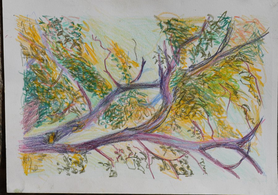 Sans titre n° 5, gouache
