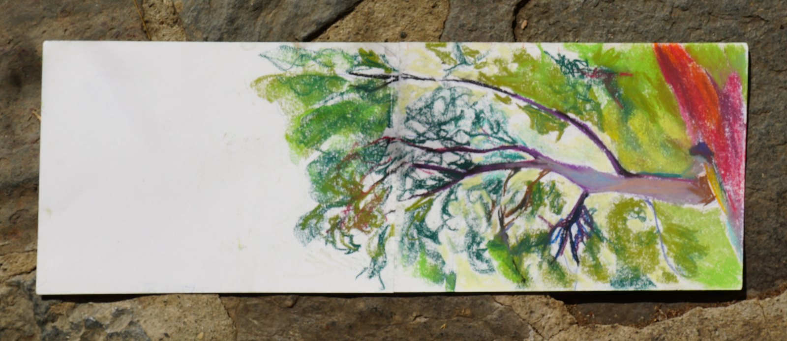 Sans titre n° 11, gouache