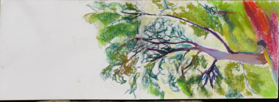 Sans titre n° 11, gouache
