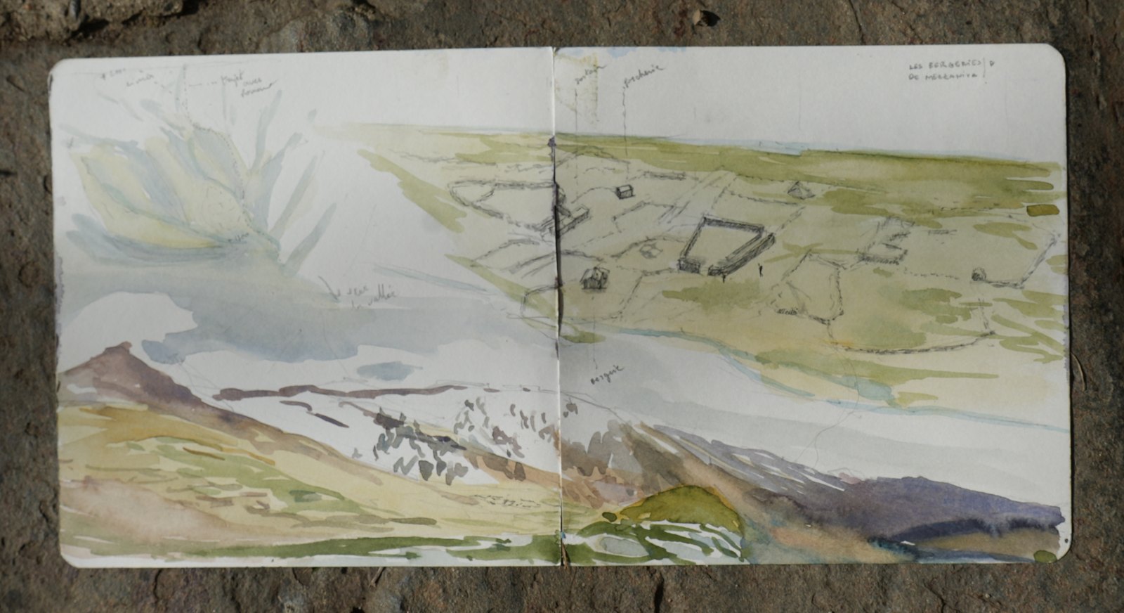 Sans titre n° 7, gouache